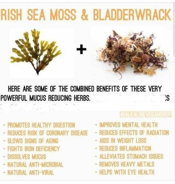 Organic Sea Moss Gel infused with Bladderwrack